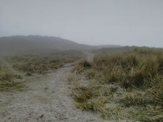 Oostduinkerke (België)